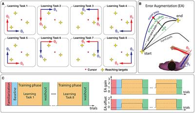 Direction-Specific Iterative Tuning of Motor Commands With Local Generalization During Randomized Reaching Practice Across Movement Directions